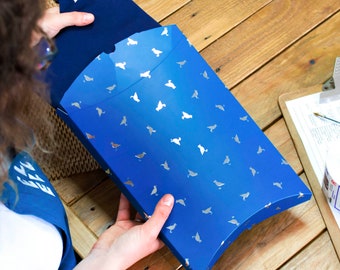 Large Teal Seagull Pillow Pack Gift Wrap Box Bag
