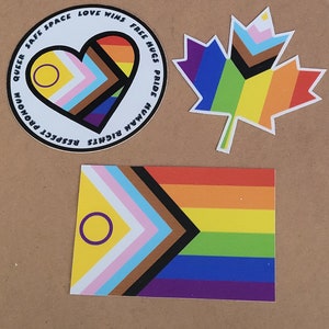4.5 Inch Reverse Print & Double Sided  - Queer Friendly, Safe Space, Pride Flag Stickers for windows
