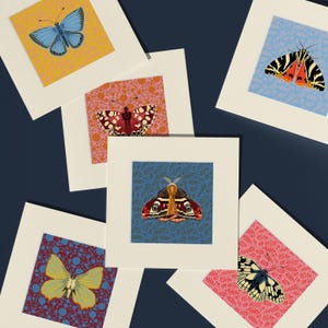 Stampa singola di farfalla montata, decorazione da parete massimalista, stampa artistica 5x5, scegli la tua farfalla, arte da parete colorata della natura, regalo stravagante della natura