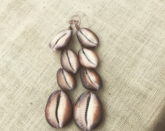 Tiger shell