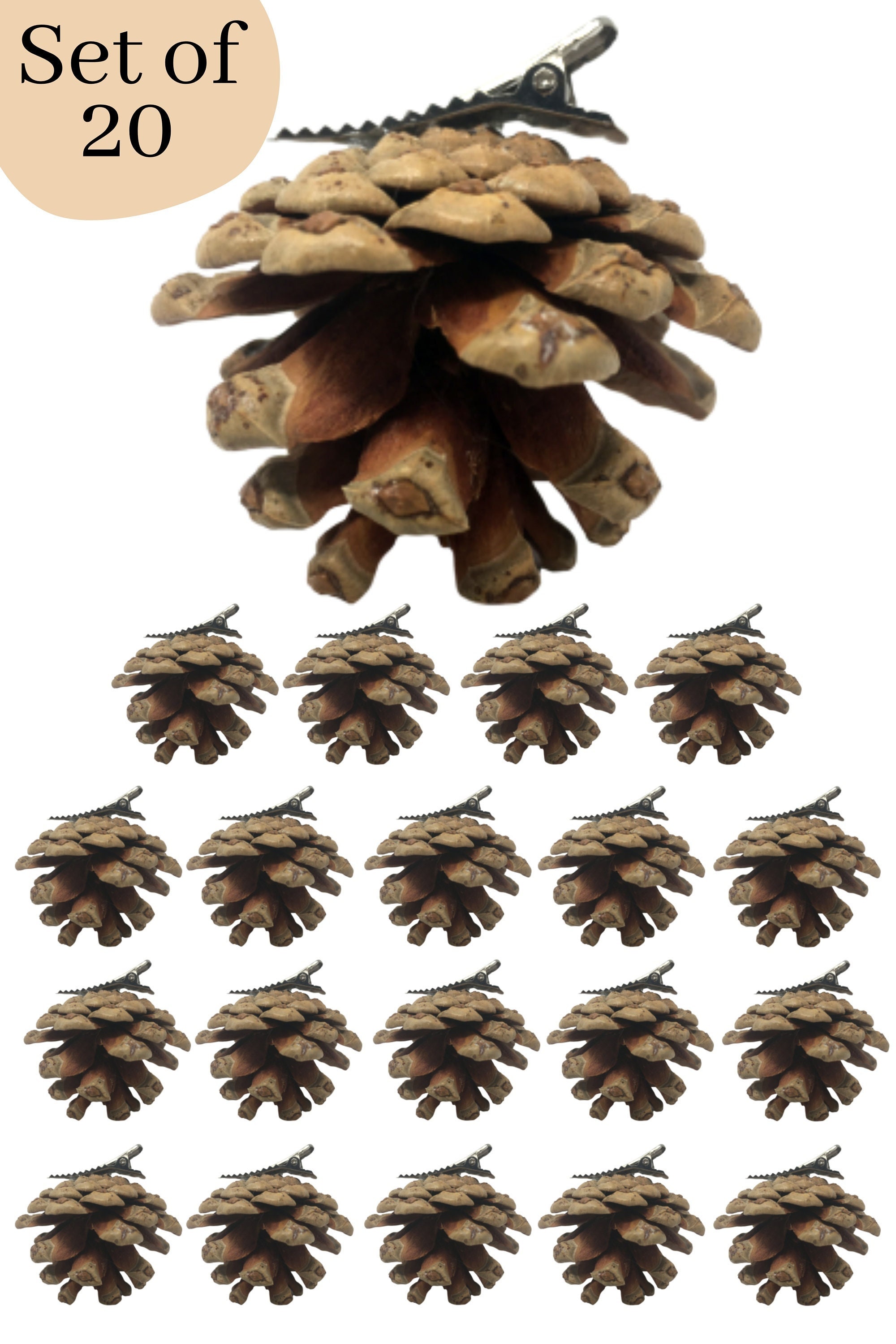 40PCS Snow Pinecones for Decorating, Natural Pine Cones for Crafts Christmas