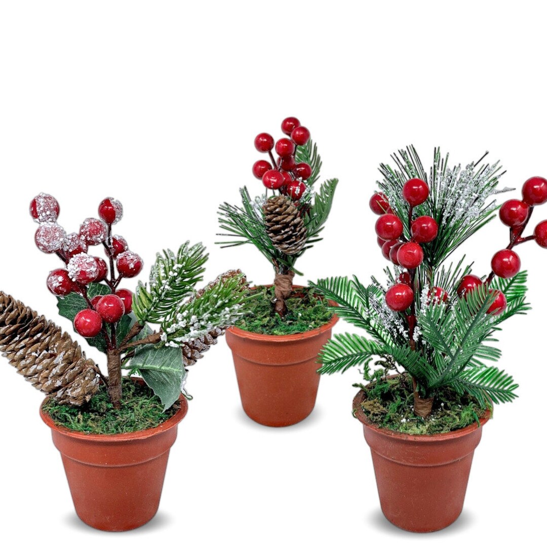 Tabletop Christmas Greenery Pots Set of 3 Pots With Pine Red Etsy