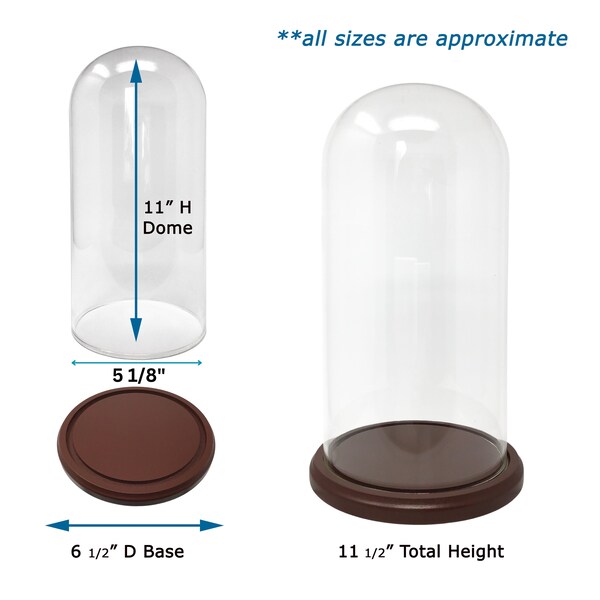 Glass Dome with Base - 11" x 5 1/8" Clear Display Cloche - Protective Bell Jar Decorative Glass Cover with Wooden Base #1470