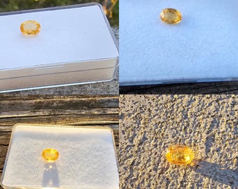 Yellow Sapphire 8.1 x 5.9mm Oval Loose Gemstone!