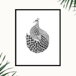 Black and white illustrated Peacock wall art, Peacock Home and wall Decor