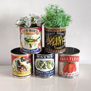 Latas de comida vintage retro de gran tamaño. Almacenamiento para el hogar, porta cubiertos, cafeterías, tiendas y restaurantes. Réplicas de etiquetas recicladas de color verde.