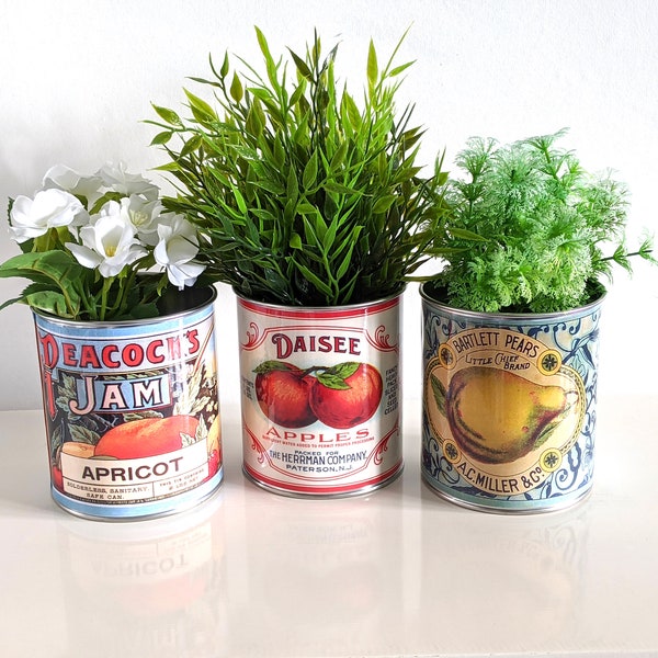 Gift retro food tin cans. Storage for home, flowers plant pots cutlery holder cafes , restaurant display. Props replica