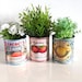 Gift retro food tin cans. Storage for home, flowers plant pots cutlery holder cafes , restaurant display. Props replica 