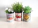 Gift retro food tin cans. Storage for home, flowers plant pots cutlery holder cafes , restaurant display. Props replica 
