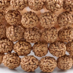 10 Strands 108 Beads 11-12mm Natural Rudraksha Bodhi Seed Gemstone Rare Mala Prayer Brown Round Beads 45 inch LOT (90182478-393)x10