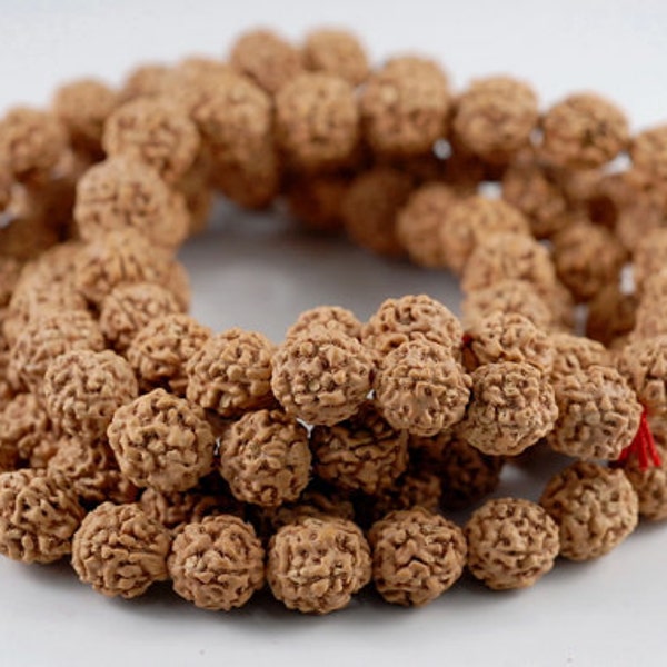 10-11mm Natural Rudraksha Bodhi Seed Gemstone Rare Mala Prayer Brown Round Loose Beads 44 inch 108 Beads LOT 1,3,6,12,50 (90182479-393)