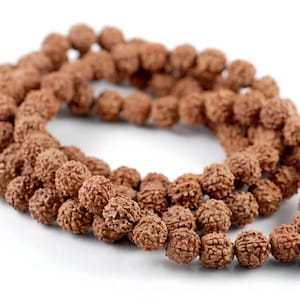 8mm Natural Rudraksha Bodhi Seed Gemstone Rare Mala Prayer Red Brown Round Loose Beads 35 inch 108 Beads LOT 1,3,6,12,50 (90182475-393)