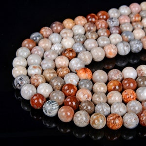 Natural Fossil Coral Gemstone Grade AAA Round 6MM 8MM Loose Beads BULK LOT 1,2,6,12 and 50 (D13)