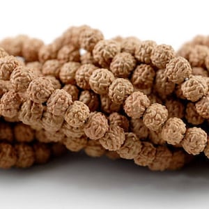 10 Strands 108 Beads 6mm Natural Rudraksha Bodhi Seed Gemstone Rare Mala Prayer Brown Round Loose Beads 23 inch LOT (90182473-393)x10