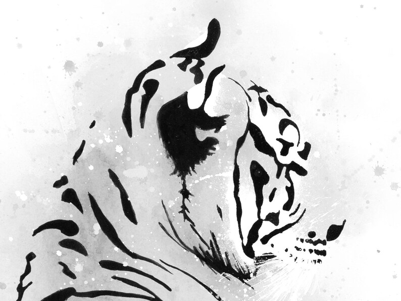 Royal Bengal Tiger Fine Art Print Black & white edition image 7