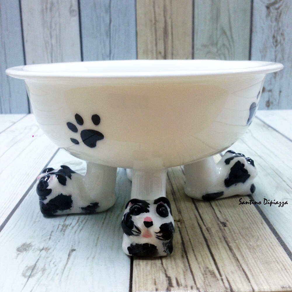 Elevated Cat Bowl Walking Pottery Elegant Pets Water Dish