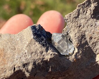 Herkimer Diamond Golden Healer Quartz Crystal in Matrix Double Terminated Quartz Crystal Natural Limestone Matrix Collectors Unique Specimen