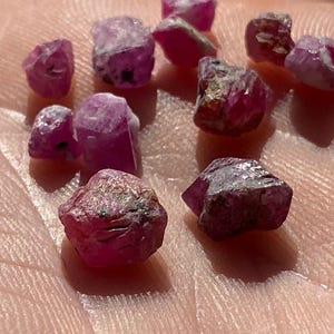 May include: A collection of raw, uncut ruby gemstones. The rubies vary in size and shape, displaying a deep red-pink hue with some areas of lighter color. The rough texture and natural formations of the stones are visible, suggesting their unrefined state.