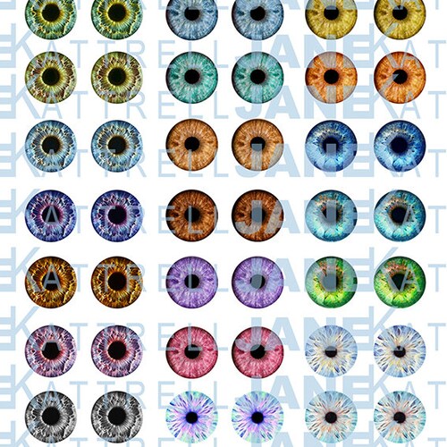 Blythe Printable DIY Eye Chips PDF Natural Eyes Theme Part 2 - Etsy