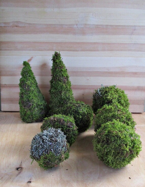 Christmas Decor Moss Ball Natural Moss Decor Moss Green Etsy