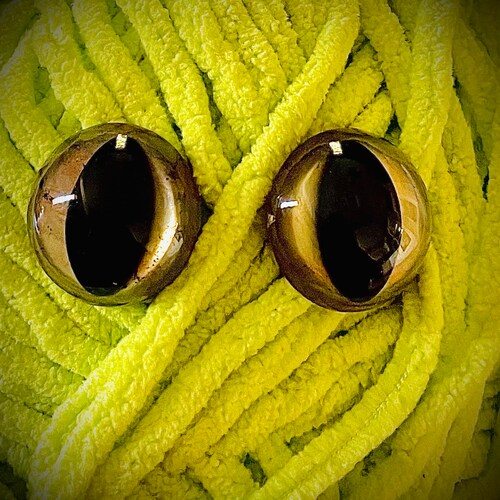 12mm Safety Cat Eyes Plastic Doll Eyes / Toy Eyes 20 Pairs Etsy