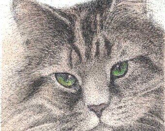 ACEO Rootbeer - brown tabby cat ATC animal art    - gift idea for animal lovers - cheerful art for your home