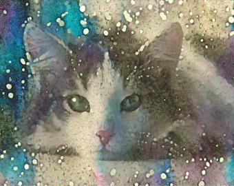 ACEO ATC Persian Cat Anzu Schmoo pink animal art cheerful art for your home gift idea for animal lovers