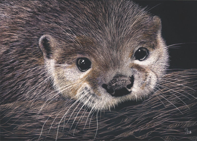 ACEO ATC Scratchboard Otter Gift Idea for Animal Lovers Cheerful Art