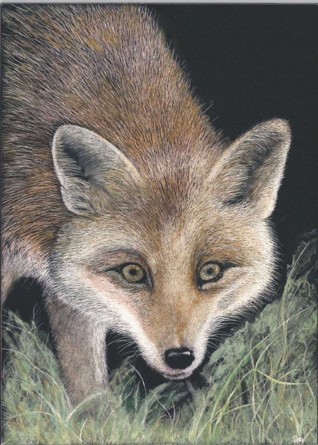 Little Fox Scratchboard Wildlife Art Print Gift Idea for Etsy