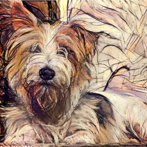 ATC ACEO Scruffy - terrier perro cachorro arte animal - idea de regalo para los amantes de los animales - arte alegre para su hogar