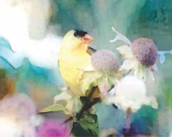 ACEO ATC Goldfinch - bird art  - gift idea for animal lovers - cheerful art for your home