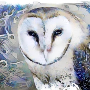 Blue Barn Owl Art Print wildlife art for animal lovers image 1