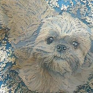 ACEO ATC Lucy Shih Tzu Dog Blue Lace Style Art Card art animal art - idée cadeau pour les amoureux des animaux - art joyeux pour votre maison