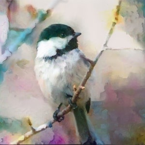 ACEO ATC Chickadee - arte de pássaros - ideia de presente para amantes de animais - arte alegre para sua casa