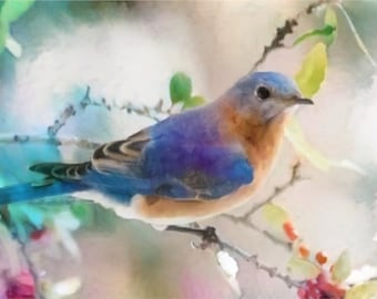 Bluebird - bird art print - gift idea for nature lovers - cheerful art for your home