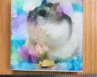 Rupert - dwarf hamster rainbow modern dollhouse miniature art Blythe 1/6th or 1/12th