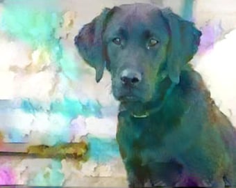 Chester - Black Labrador Retriever digital watercolour art print animal art for animal lovers