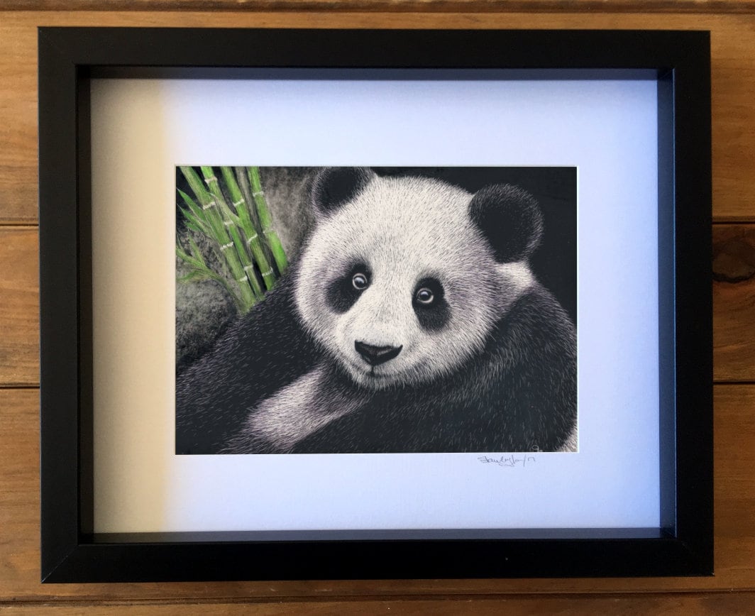 Giant Panda Scratchboard Art Print Wildlife Art for Animal Lovers Etsy UK