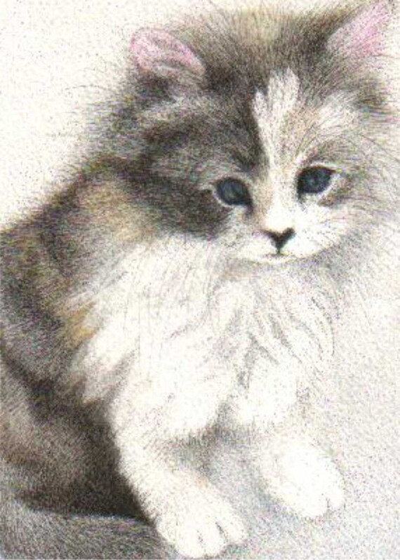 Aceo Soft Touch Calico Kitten Kitty Cat Atc Animal Art Etsy