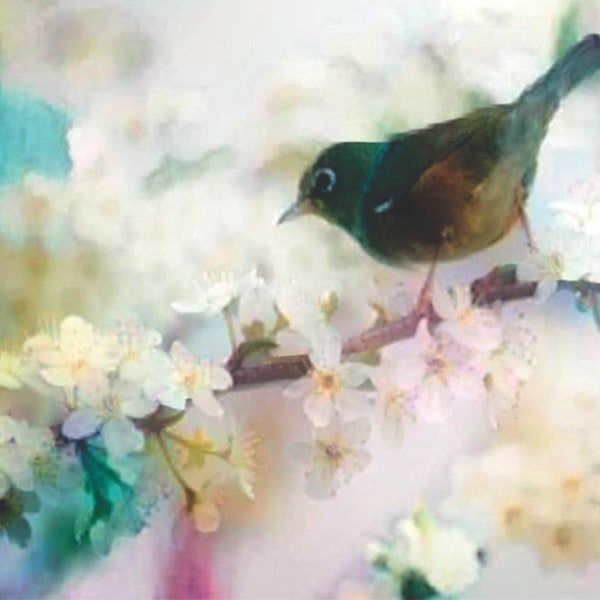 ACEO ATC Japanese White Eye - art des oiseaux - idée cadeau pour les amoureux des animaux - art joyeux pour votre maison