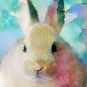 ACEO ATC Kara - Bunny Rabbit Rescue Art Card dierlijke kunst - cadeau idee voor dierenliefhebbers - vrolijke kunst voor uw huis