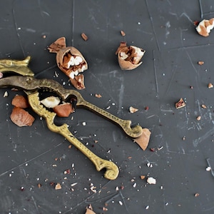 May include: A vintage brass nutcracker with ornate detailing lies next to cracked hazelnut shells and scattered pieces. The image is set against a dark gray background, highlighting the golden tones of the nutcracker.