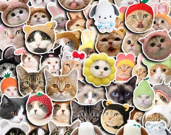 May include: A collection of cat stickers, each with a different design. The cats are wearing hats shaped like animals, fruits, and flowers. Some stickers feature plush toy characters. The cats have various fur colours and facial expressions.