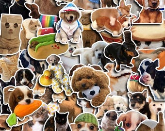May include: A collection of stickers featuring dogs and cats in various poses and outfits. The stickers include a puppy in a shark costume, a dog with sunglasses, and a cat wearing a paper bag, among others.