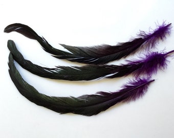 Feather Purple Rooster tail Dyed | Earrings feathers | Millinery Jewelry Crafts supplies| Hair accessories FA36