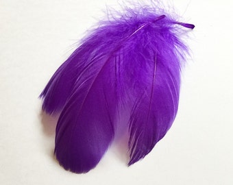 Feather Purple Goose Coquille Dyed | Earrings feathers | Millinery Jewelry Crafts supplies| Hair accessories FA42