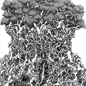 Puede incluir: Un dibujo en tinta negra y blanca de un árbol con ramas y raíces intrincadas y detalladas. El árbol está dibujado en un estilo realista, con un enfoque en la textura y el detalle de la corteza y las ramas.