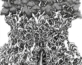 May include: A black and white ink drawing of a tree with intricate, detailed branches and roots. The tree is drawn in a realistic style, with a focus on the texture and detail of the bark and branches.