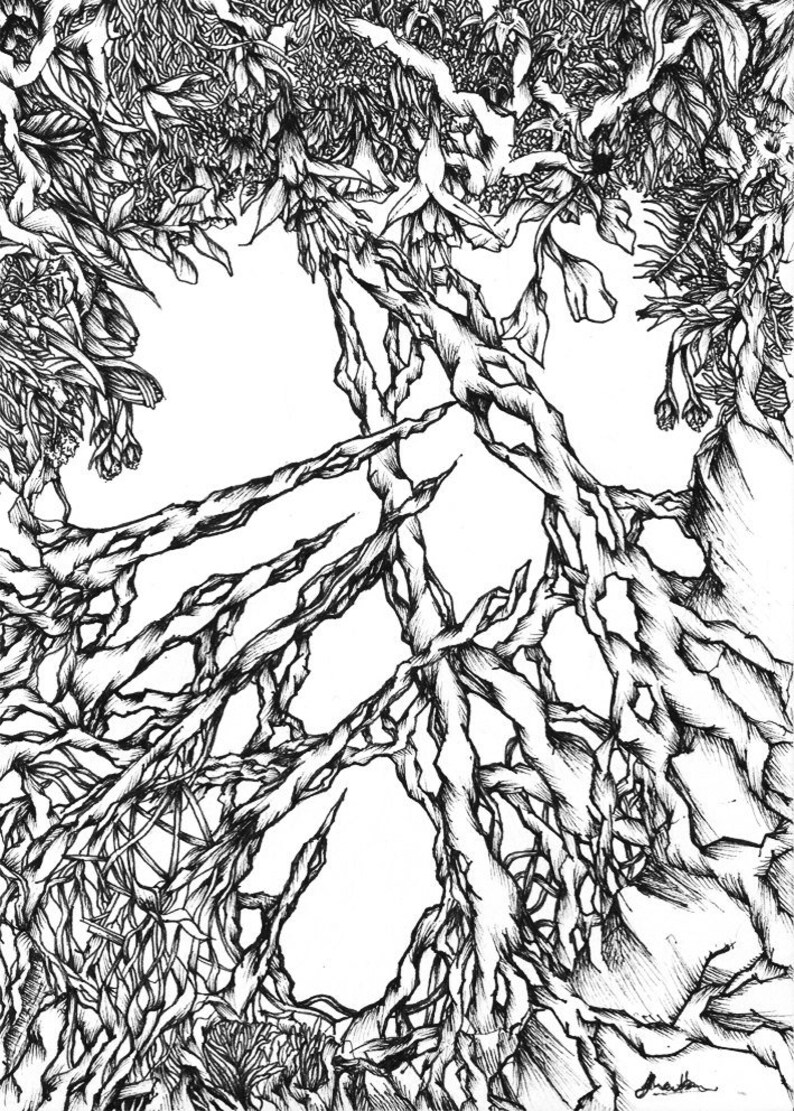 Puede incluir: Dibujo en tinta negra y blanca de una escena de bosque enredado con ramas y hojas gruesas e interconectadas.