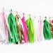 Pink and Green Tassel Garland | Cactus Tassel Garland | Watermelon Tassel Garland | Birthday Party Decor | Cactus Party | Pink and Green Par